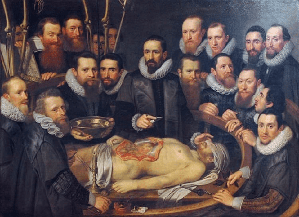 Lección de anatomía de Dr Willem van der Meer